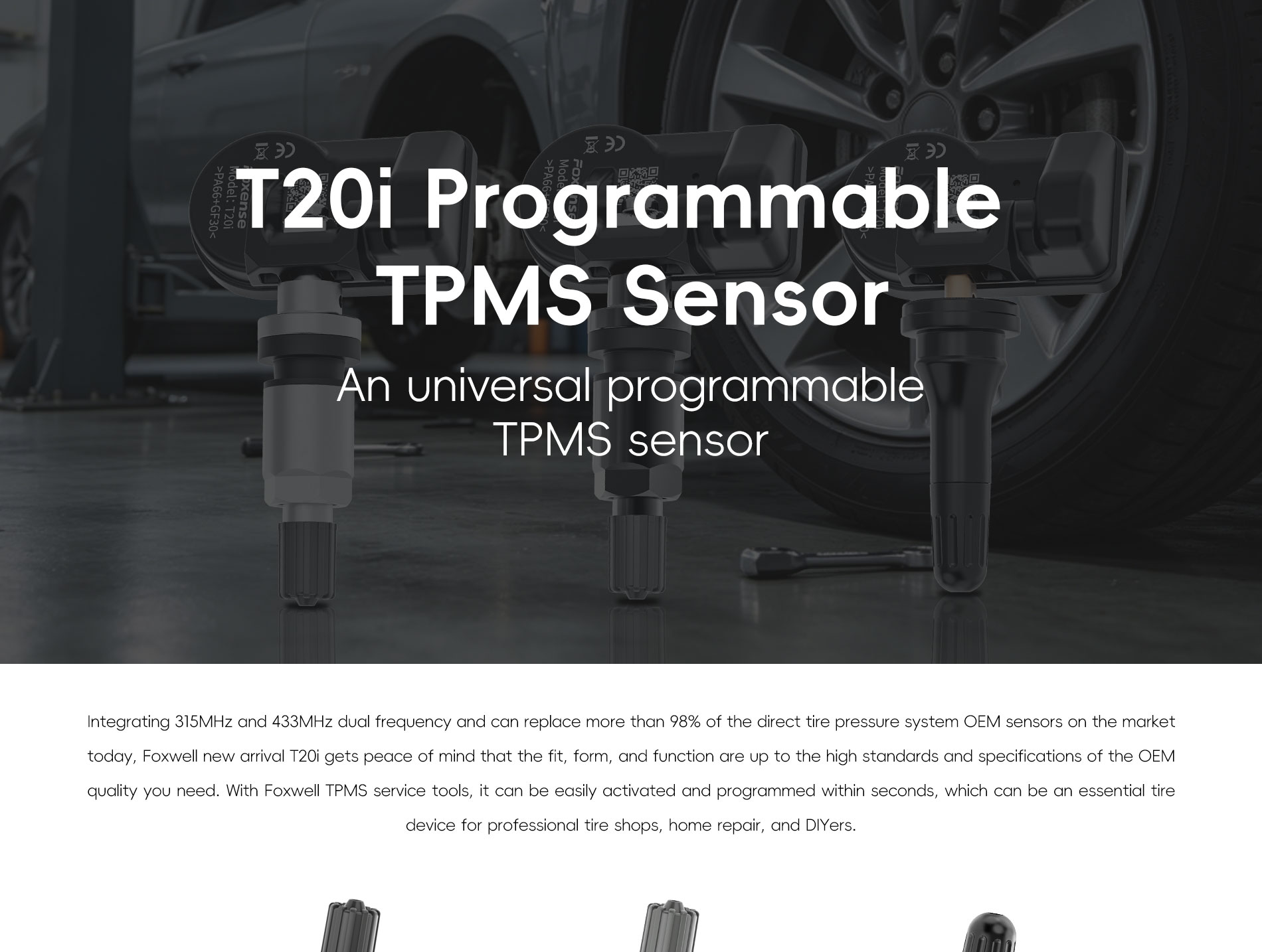 T20i